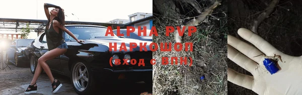 эйфоретик Беломорск
